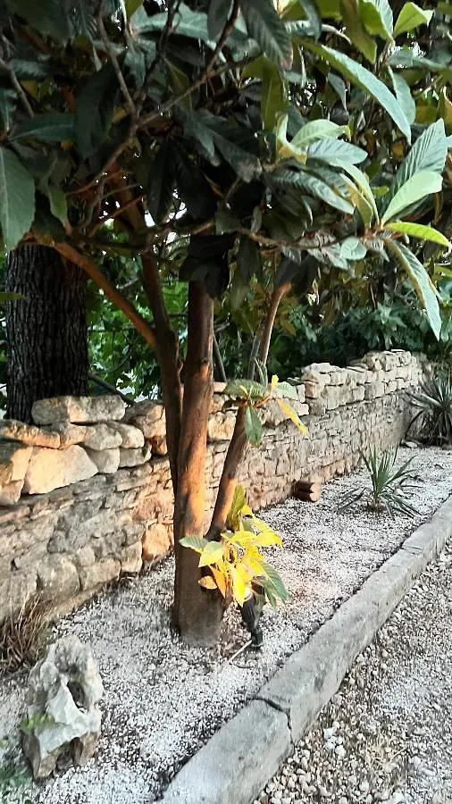 Villa Lisa 1 Premantura